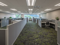 2591-ANG_PropFiscalOffice-30